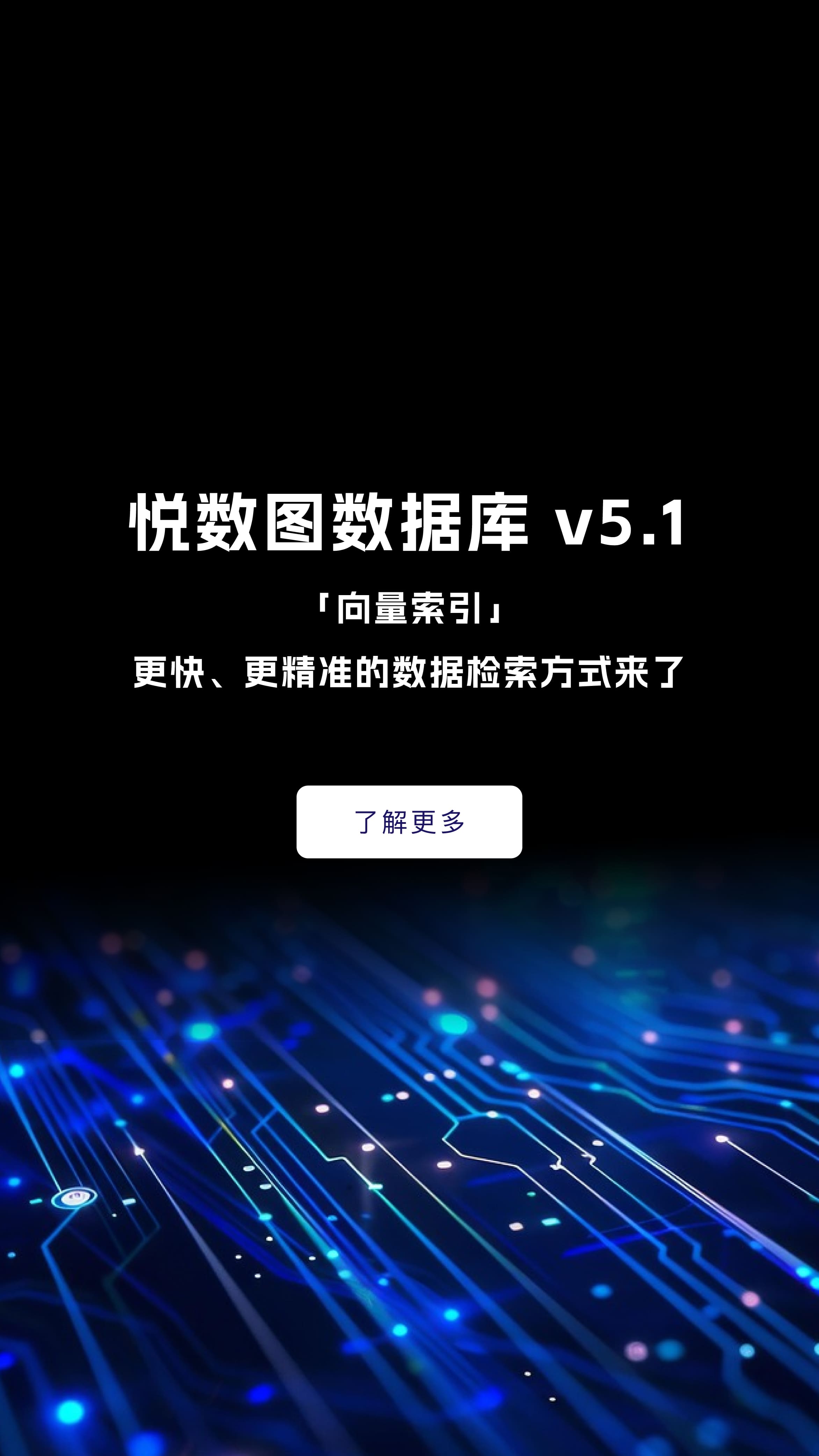 向量索引v5.1