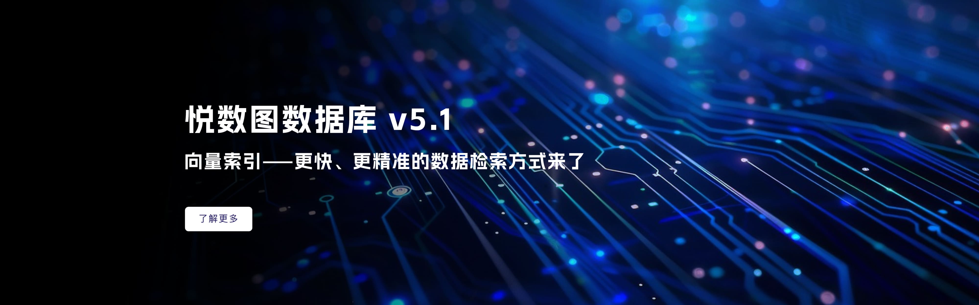 向量索引v5.1